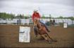 Outstanding high school rodeo or junior rodeo horse