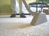 Avail Best Carpet Cleaning Service At Toronto